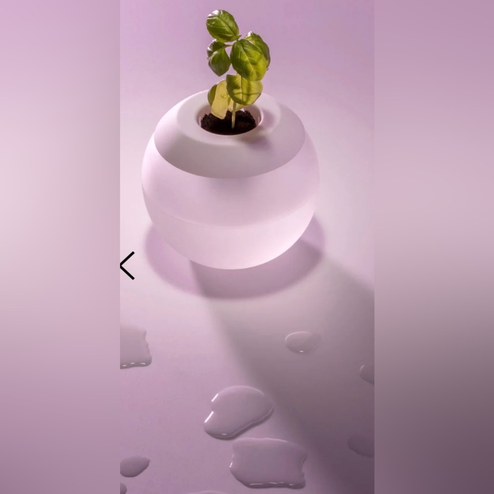 Modern White Planter with Green Plant